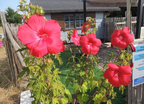 Les Chalets d'Auvergne, 4* - 26