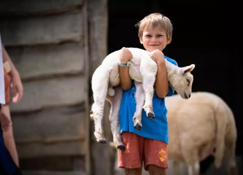 Camping Ferme Pédagogique de Prunay, 4* - 5