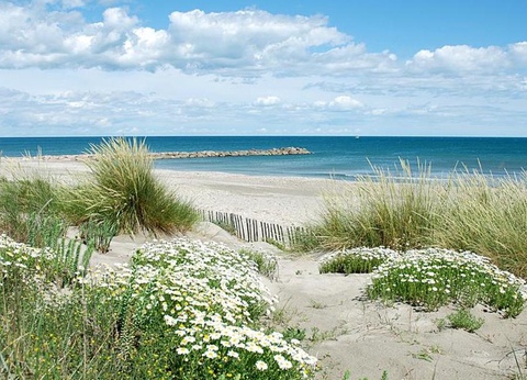 Camping Les Salins de la Gardiole 4* - 13