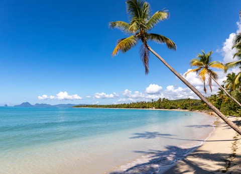 Croisière Cocktail Nature aux Antilles ***** - 23