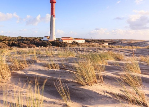 Camping Le Royan, 4* - 62