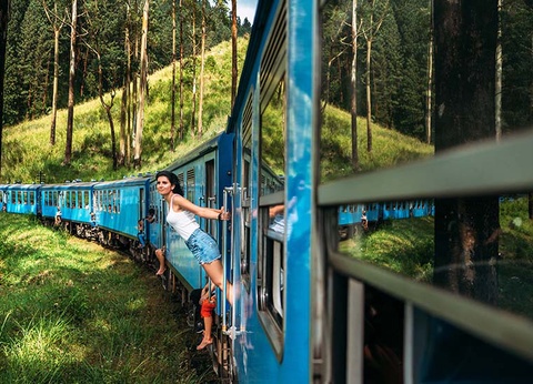 Circuit Le Sri Lanka, pays de l'Or Vert - 7