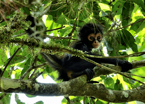 Circuit Chemins Sacrés du Guatemala et du Pacifique - 33
