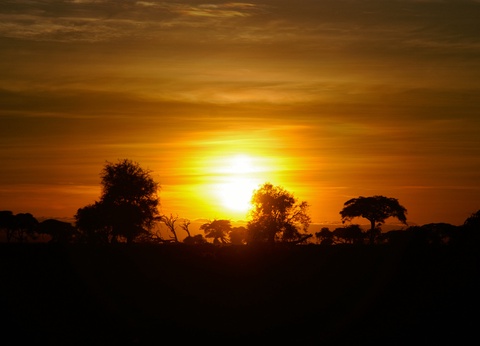 Safari Féeries d'Afrique - 19