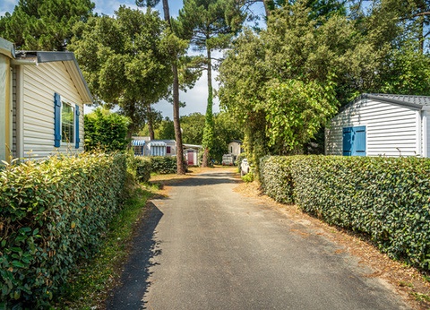 Camping Riez à la vie 4* - 31