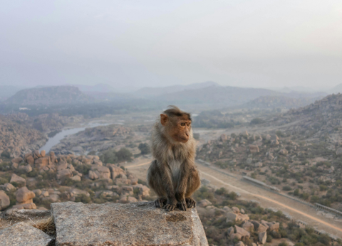 Circuit Des Couleurs de l'Inde du Sud aux légendes de Karnataka - 19