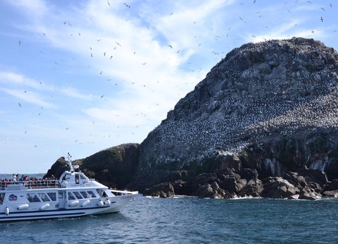 Camping West, 3* - 57