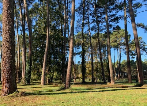 Camping Val de l'Eyre, 4* - 15