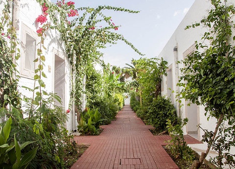 Hôtel Le Hammamet Hôtel & Spa 4* - 31