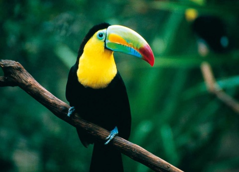 Circuit Tierra Maya - 16