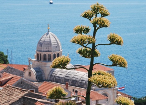 Séjour Découverte Top Culture croate - Croatie - 7