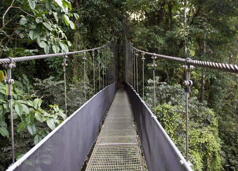 Circuit entre Jungles et Forêts du Costa Rica + extension Playa Samara - 3