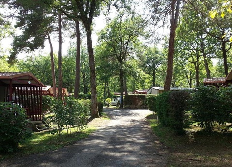 Camping Les Truffières de Dordogne, 5* - 48
