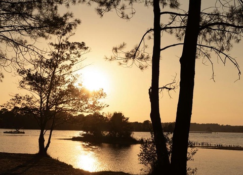 Camping Club Navarrosse Plage 4* - MS VACANCES, 4* - 53