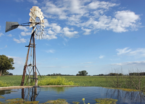 Circuit Tango, Pampa et Terre de Feu - 19