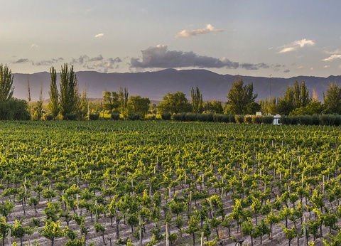 Road Trip L'Argentine en Roues Libres - 13