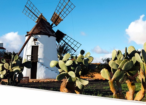 Hôtel Ôclub Experience LIVVO Jandia Golf 4* - 13