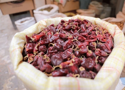 Circuit Ghardaïa, chef-d'oeuvre du Sahara - 6