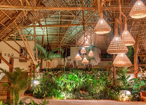 Hôtel Diamonds Mapenzi Beach 4* - 27