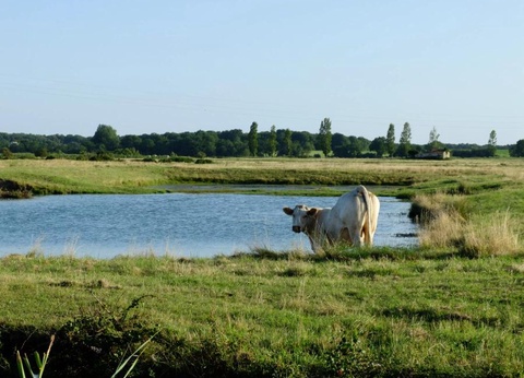 Camping maeva Escapades Les Etangs Mina, 3* - 48