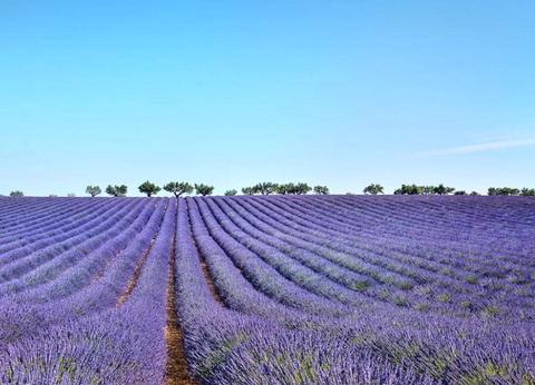 Flower Camping Provence Vallée, 3* - 36