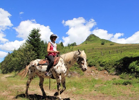 Camping Paradis - L'Europe, 4* - 40