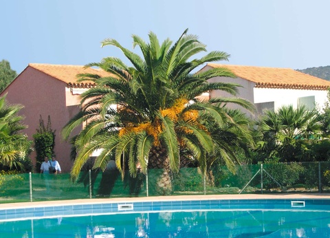 Résidences Lagrange Le domaine d'Azur et Tahiti Park - 2