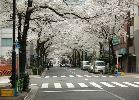 Combiné Tokyo Kyoto en 3* ou 4* - 8