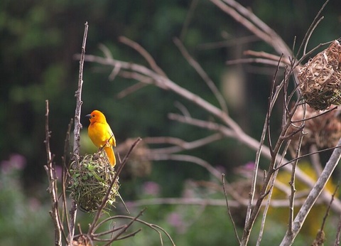 Circuit Punda Milia - De Nairobi A Mombasa - 2