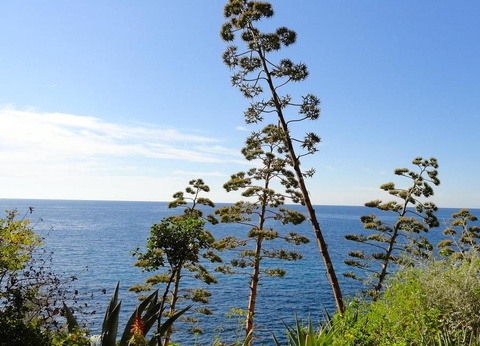 Camping Delle Rose, 4* - 24