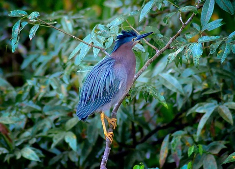 Circuit Volcans et peuples oubliés - 7