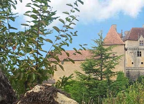 Camping Moulin de David 4* - 56