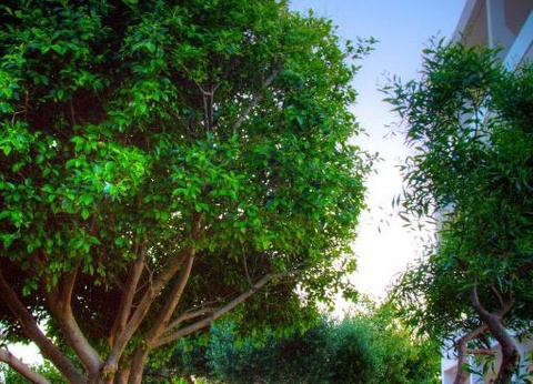 Hôtel Dias By Azul Collection 4* - 4