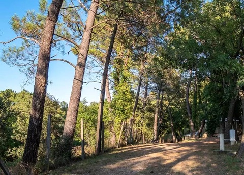 Camping La Pinède en Provence, 3* - 31