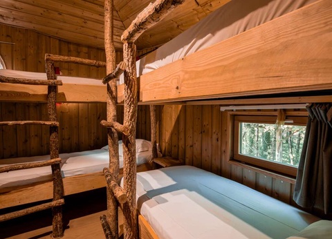 Prenez de la hauteur en famille en séjournant en cabane dans les arbres près de Poitiers - 4* - 7