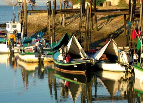 Flower Camping L'Abri-Côtier, 3* - 250