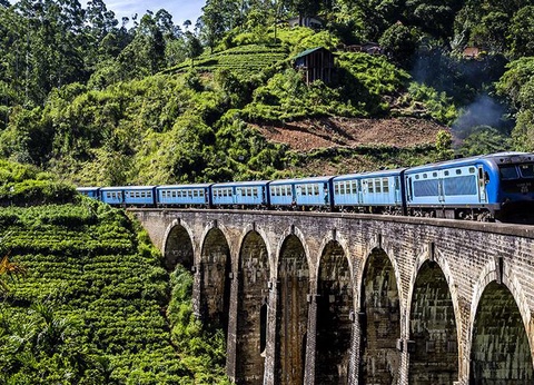 Circuit Incontournable Sri Lanka et Ôclub Experience Canareef Resort 4* - 6