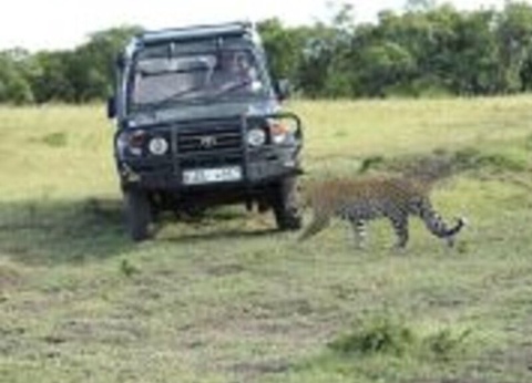 Circuit Punda Milia - De Nairobi A Mombasa - 8