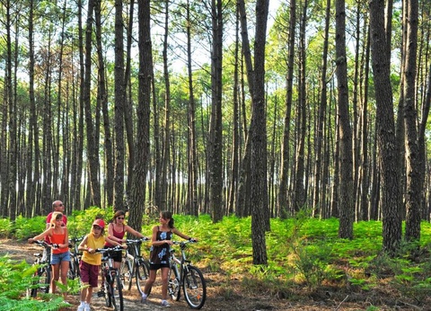 Camping Le Soleil des Landes 4* - 43