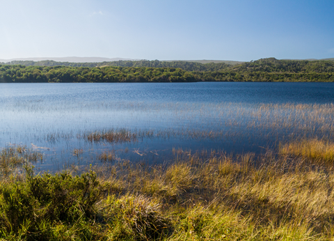 Circuit Découverte de Chiloé et Aventure Chilienne du Nord au Sud - 34