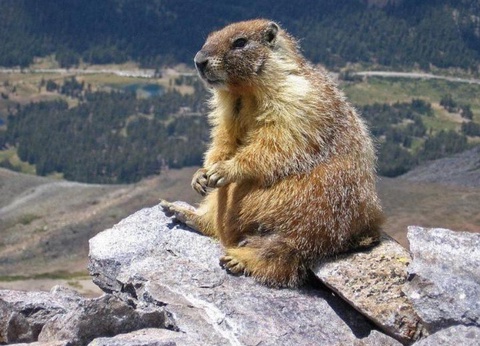 Camping du Lac, 4* - 56