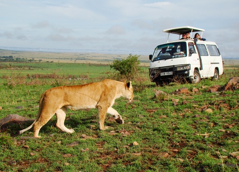 Combiné Safari Hakuna Matata et Jacaranda Indian Ocean Beach Hotel 4* - 6