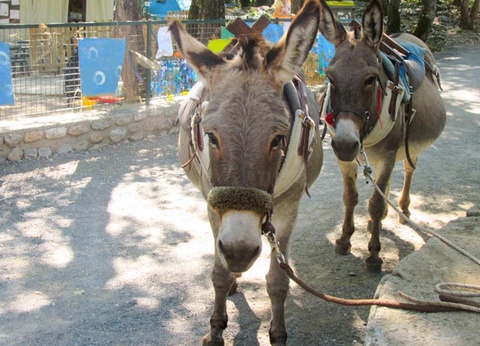 Camping Domaine Des Blachas, 4* - 14