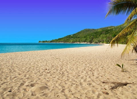 Combiné croisière et hôtel Cocktail Créole et extension à l'hôtel Karibea Sainte-Luce - 11