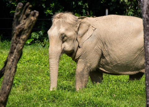 Circuit Du Parc National de Khao Sok aux Sables de Khao Lak - 33