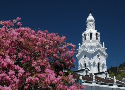 Circuit Découverte de l'Equateur 13J/11N - 2