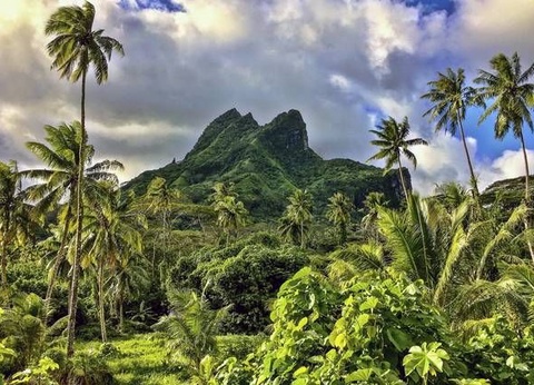 Circuit IA ORA NA POLYNESIE ET SACREE RAIATEA - 7