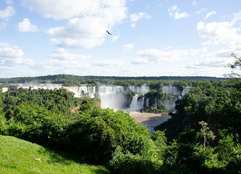 Circuit Merveilles du Brésil et Séjour Pantanal - 5