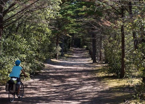 Camping Le Petit Bois, 3* - 5