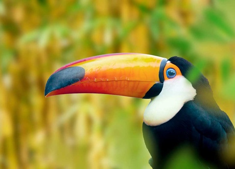 Circuit Costa Rica Nature - 12